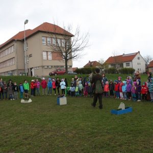 Lovci nebes