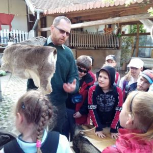 LESNÍ PEDAGOGIKA