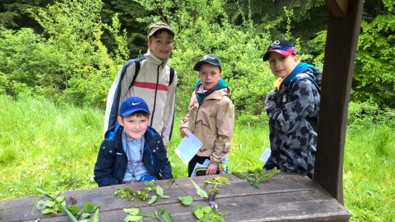 Projekt 4. třídy - Návštěva v lese, výstava jehlic a lupenů