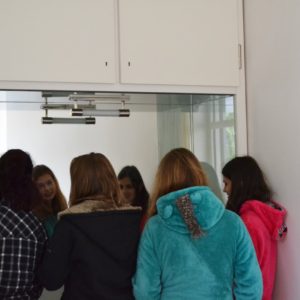 8. třída ve Vile Tugendhat