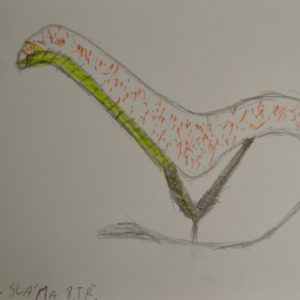 Design židle