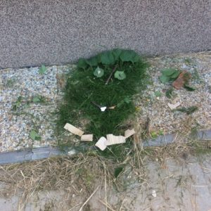 Výtvarná řada les