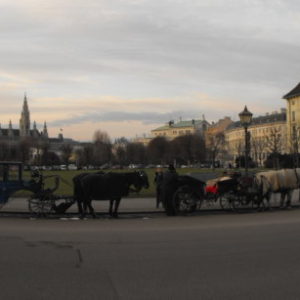Vídeň