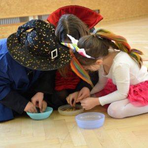 Karneval 1. stupně