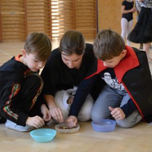 Karneval 1. stupně
