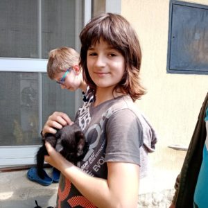koťátka