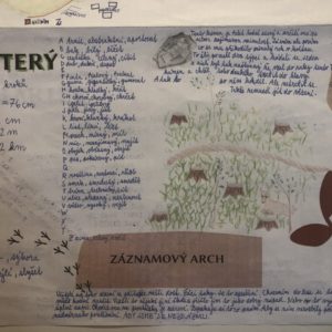 Zaznamenávám a zaznamenávám