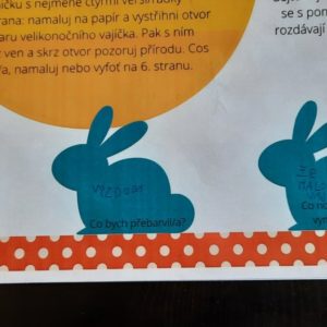 sebehodnocení
