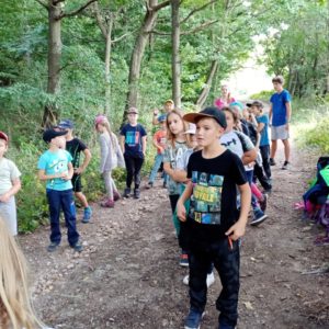 Zvířecí pantomima