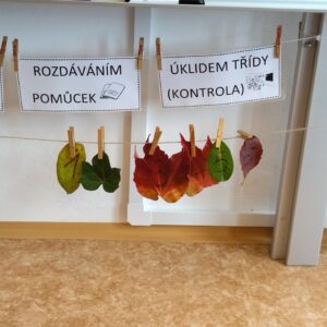 "Velké prádlo" aneb lístečková řada.