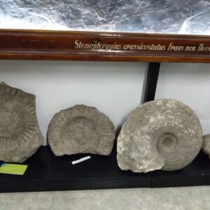 Geologie na MU